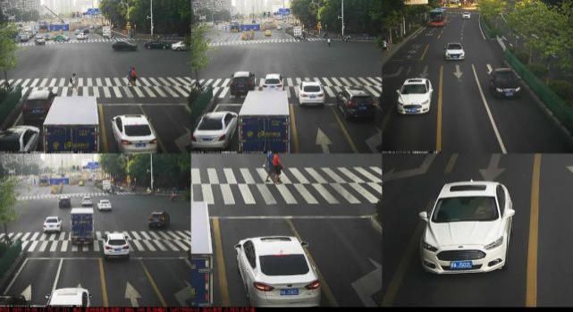 占用公交|闽AV256F、闽ASH677……一大批闽A车被曝光！