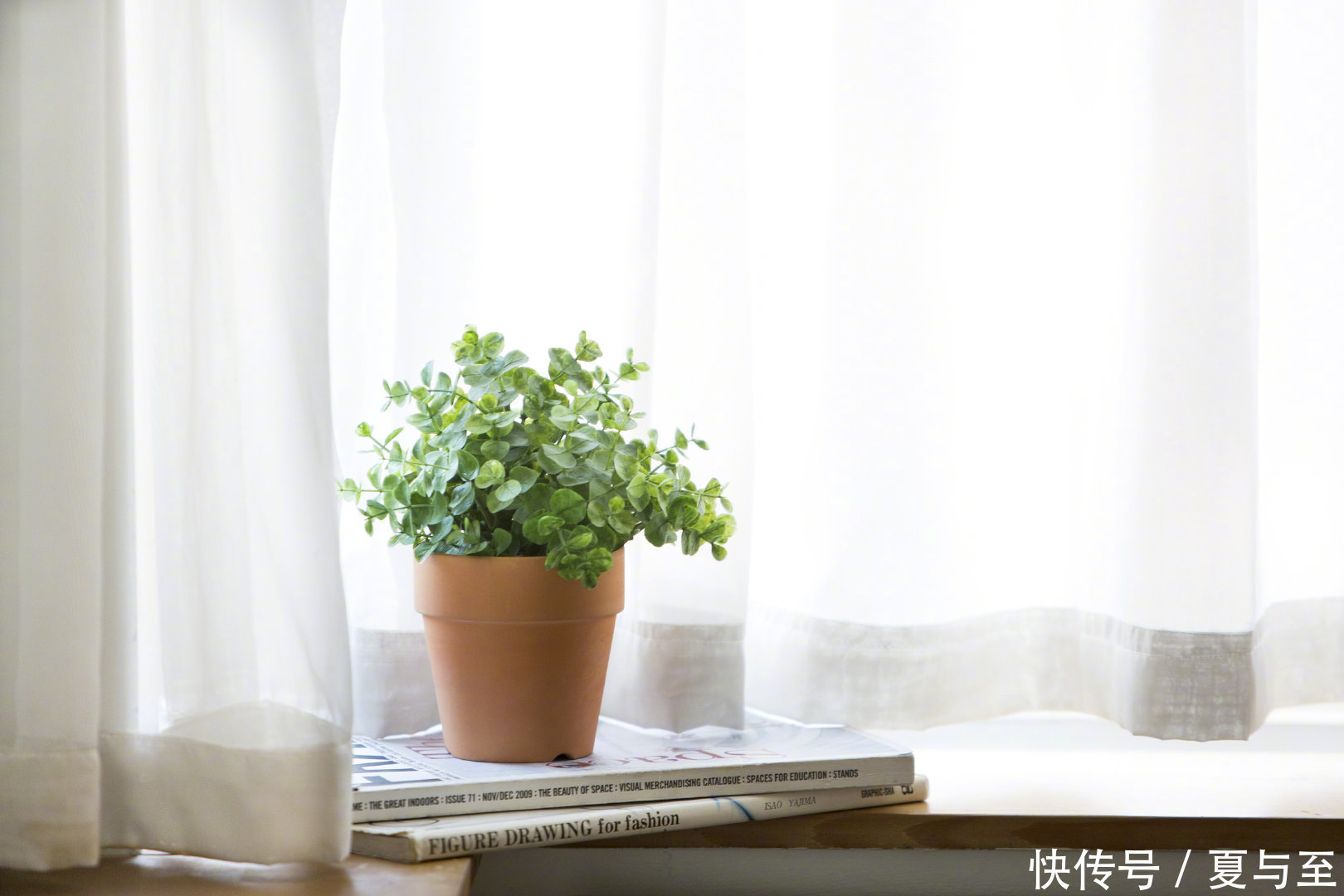 有趣|像蔡澜那样生活,有趣自在,潇洒从容
