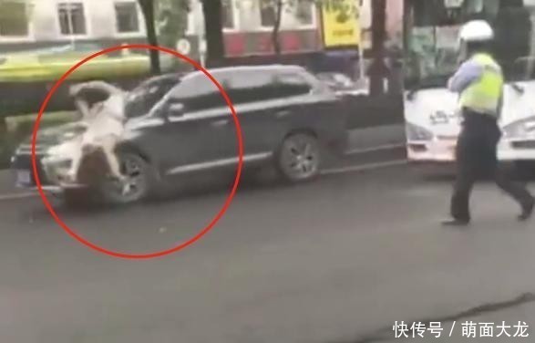  假戏真做|男子当交警面碰瓷，没想到假戏真做了，对自己太狠