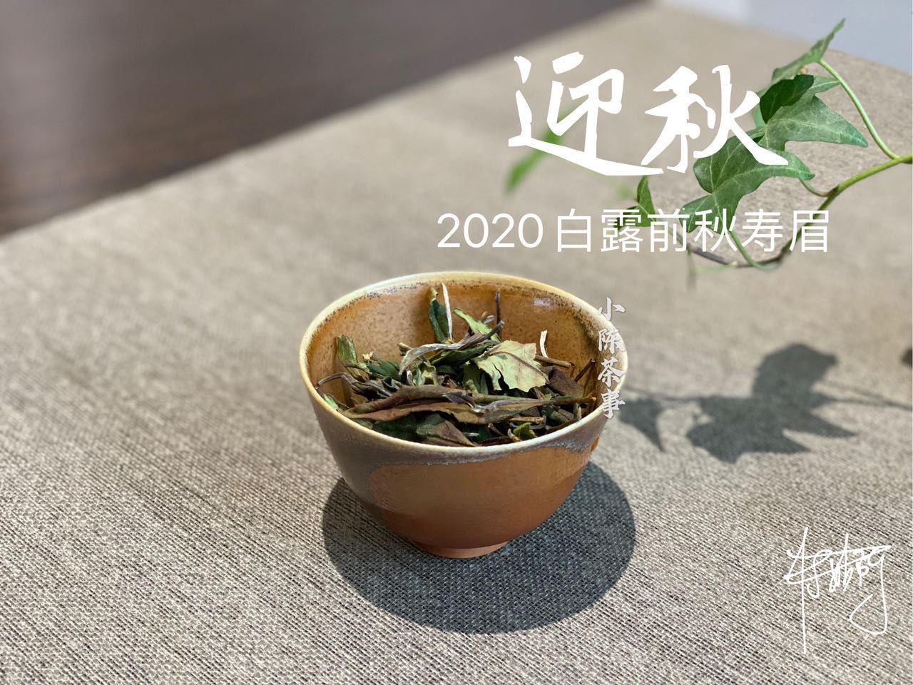 买秋白|买秋白茶总是踩坑,怎么办?别灰心,避开这三大误区,秋茶喝起来