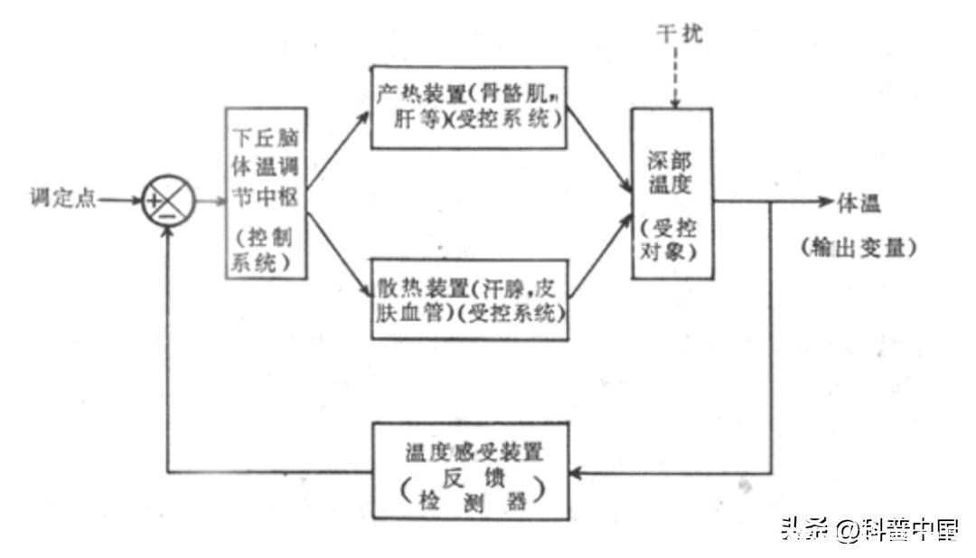 爸妈，别再不舍得开空调了！已有老人热到抽搐进 ICU……2023