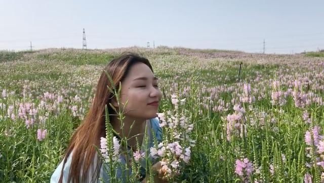  经济|唐山花海：建设绿色经济新地标