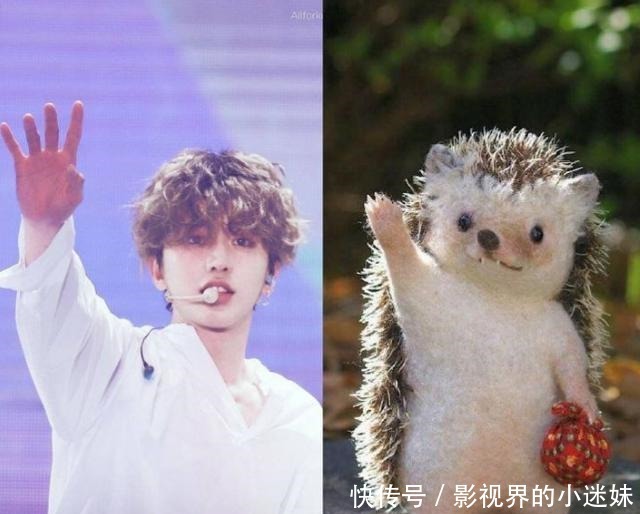  蔡徐坤|同样作为男团C位，为什么李汶翰周震南达不到蔡徐坤火的地步