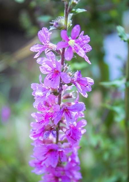 励志|优美的励志句子给人力量