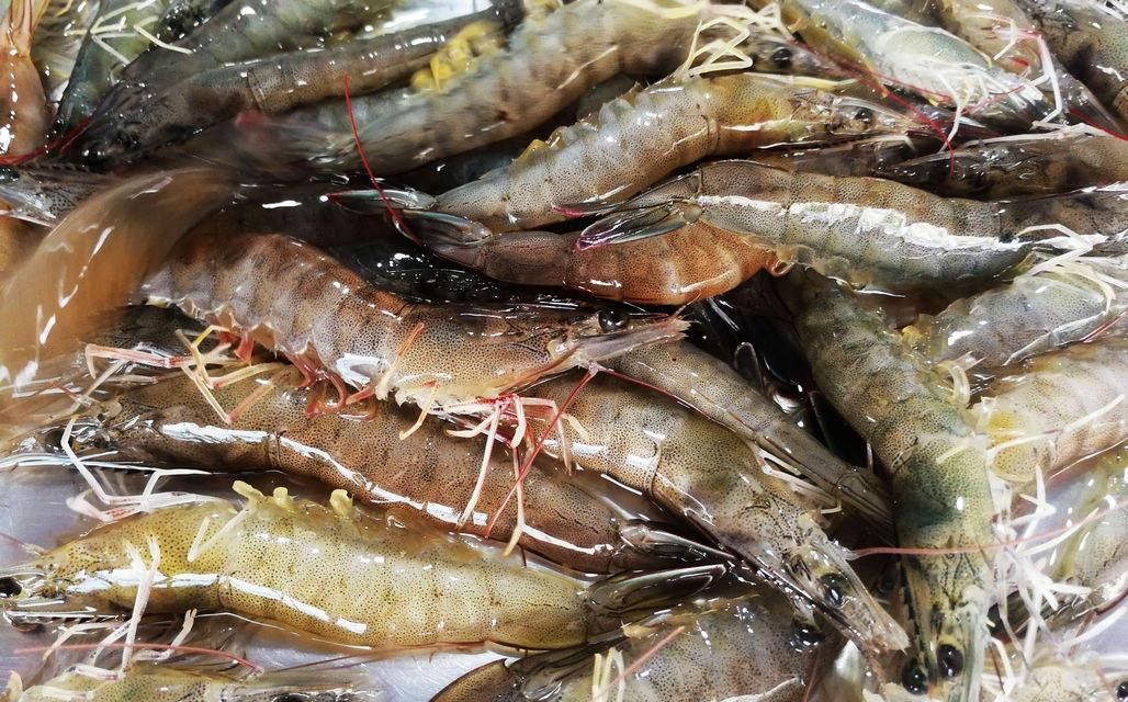 海鲜|酒店带鱼268一斤,菜市场便宜只要15,梭子蟹长大点50一斤