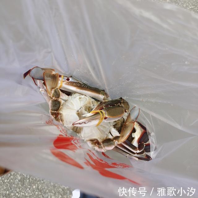 南方人|看南方人买菜的日常,还以为是段子呢,哈哈哈哈……