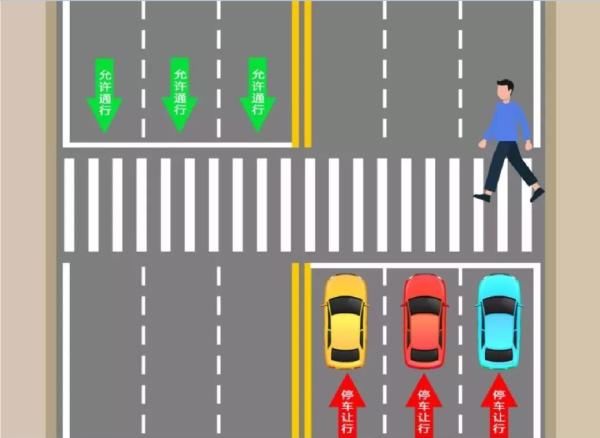 车道的机动车|开车如何礼让行人？看图操作