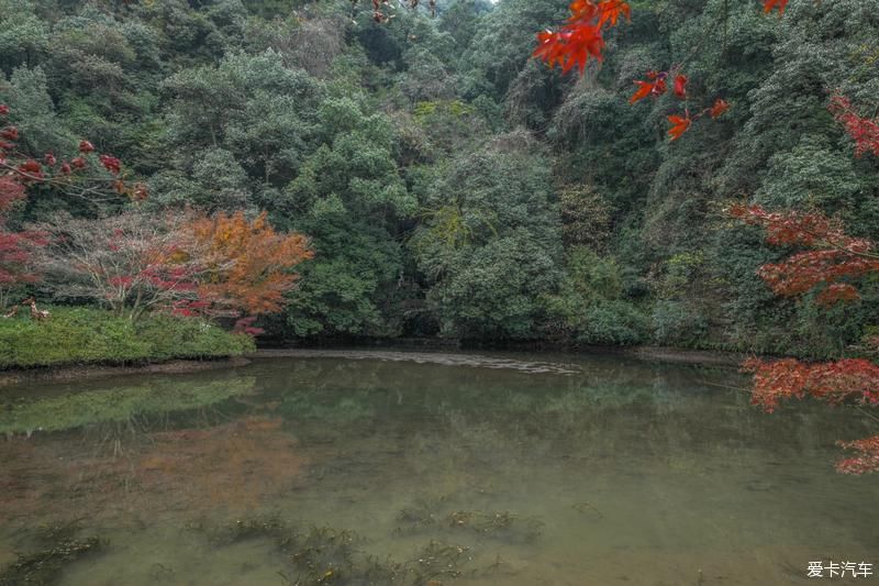  风光|畅游杭州杨梅岭，体验新颖的农家生活