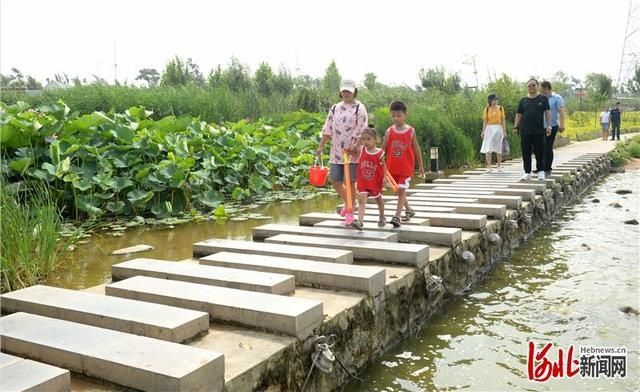  邯郸|河北邯郸：荒沙滩变身生态园