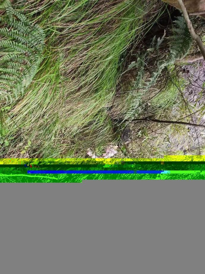  未归|女游客进温州景区未归，悬崖下找到尸体