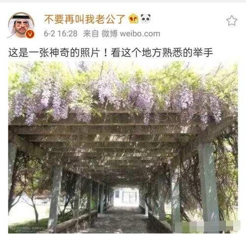 优惠券|没想到这老板娘竟然看不起我们,我伸手就扔出来一打优惠券