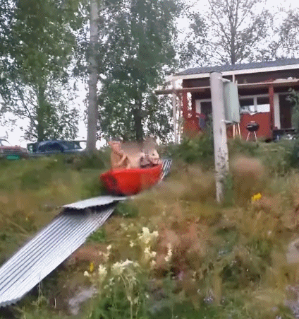 坐能|搞笑GIF:你这一坐能定乾坤啊