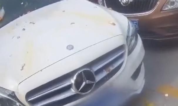  奔驰车|车位被堵，男子花18块钱买鸡蛋怒砸奔驰车！结果赔了2.1万