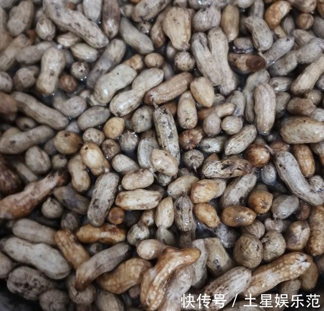  下酒|五香水煮花生，下酒必备小菜