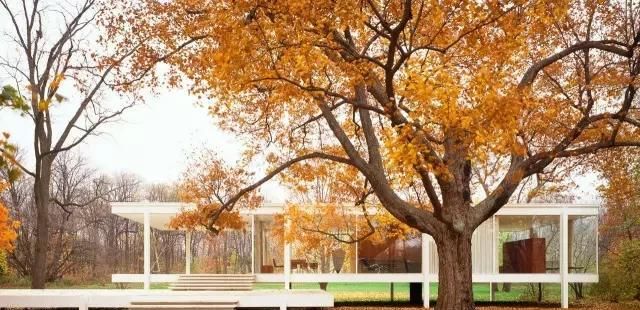 悲剧|设计再牛,也会翻车!扎哈、赖特、柯布西耶的“悲剧”