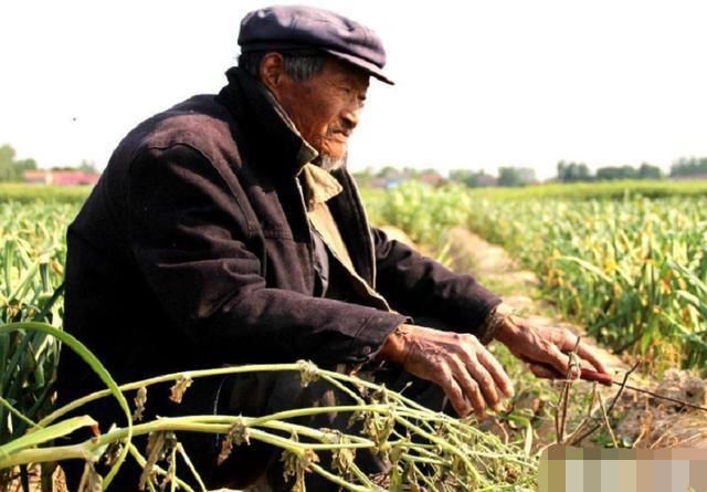 老人|在农村里，为什么有些老人戴帽子时要在里面垫一张纸？