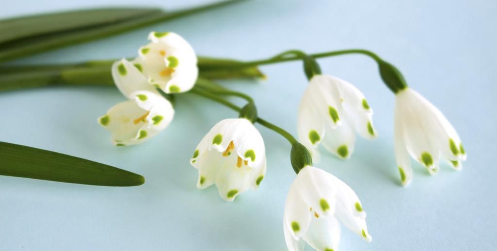  淡然|人生，简单、洒脱、淡然、放下