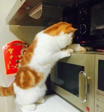  跳舞|搞笑囧图：跳舞的女孩子看似温柔，但她们和女汉子就差一步