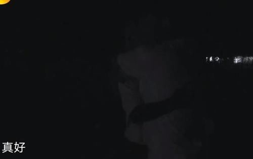 郑钧|蘑菇屋重逢郑钧,黄磊其实和欧阳娜娜一样,敏感带点脆弱