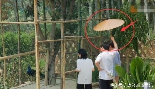 难怪|“全家”围观孔雀起名字,有谁注意彭彭小举动?难怪能录这么多季!