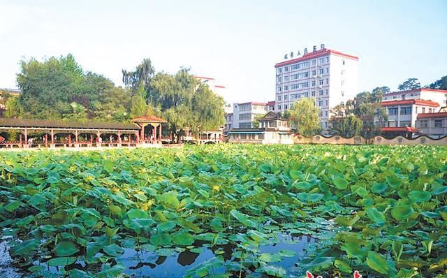  陇原|「印象陇原」漫游西狭颂