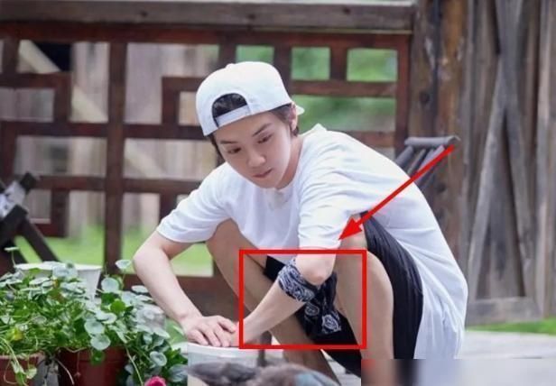 明星|有纹身不能上综艺,看到各位明星的处理方式,太机智了