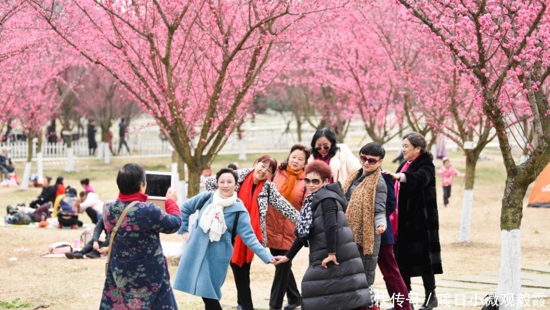  浅谈|浅谈秀丽东方IP对成都公园城市建设的借鉴作用