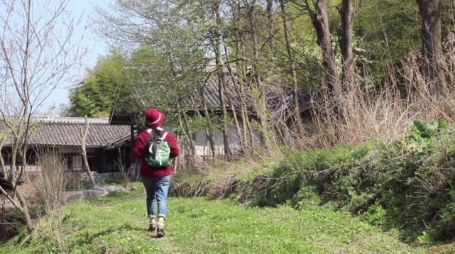  李子|她用3年时间爆改老宅，把荒地变花海：原来除了李子柒，我们还有另一种田园牧歌