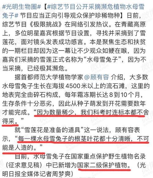 节目|刘宇宁为采摘雪莲花道歉,澄清为节目道具,没想到被专家打脸