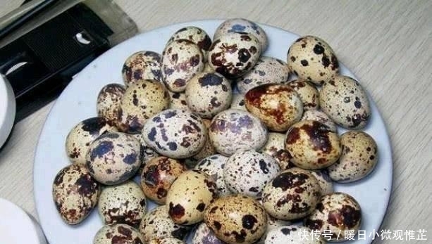  养颜|人到中年想长寿，三种食物换着吃，美容养颜，改善体质，早吃早好