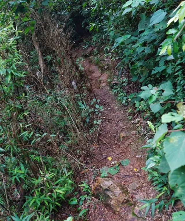 绝美|赶紧收藏！这几个附近的小众绝美玩水圣地！看了就想跳进去~