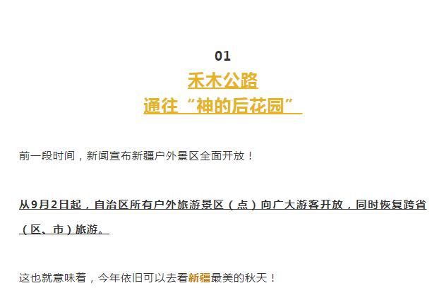  彩色|秋天最美的8条自驾路线！9月10月美成天堂，错过就要再等一年！