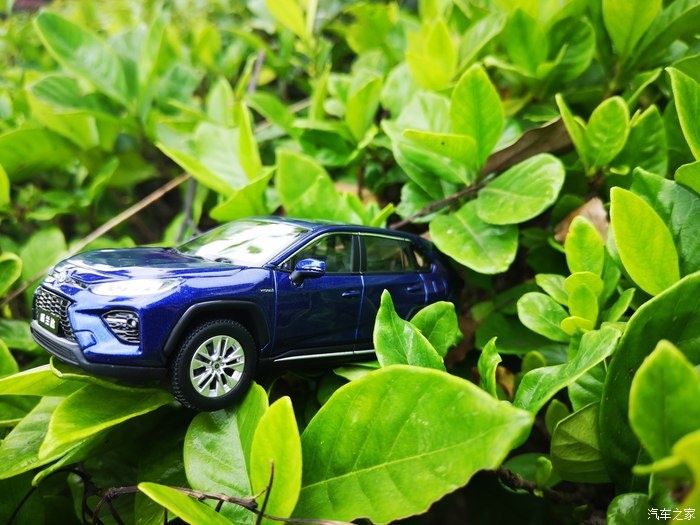 拍摄|拥有威兰达车模,绽放花丛中,说说感受