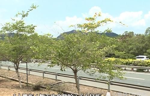  山沟|大巴被追尾翻落山沟，消防紧急救出11名乘客