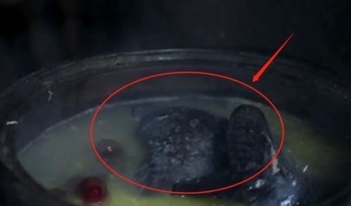  李子|李子柒做板栗炖鸡！看清无滤镜下照片后，网友：白给都不吃！