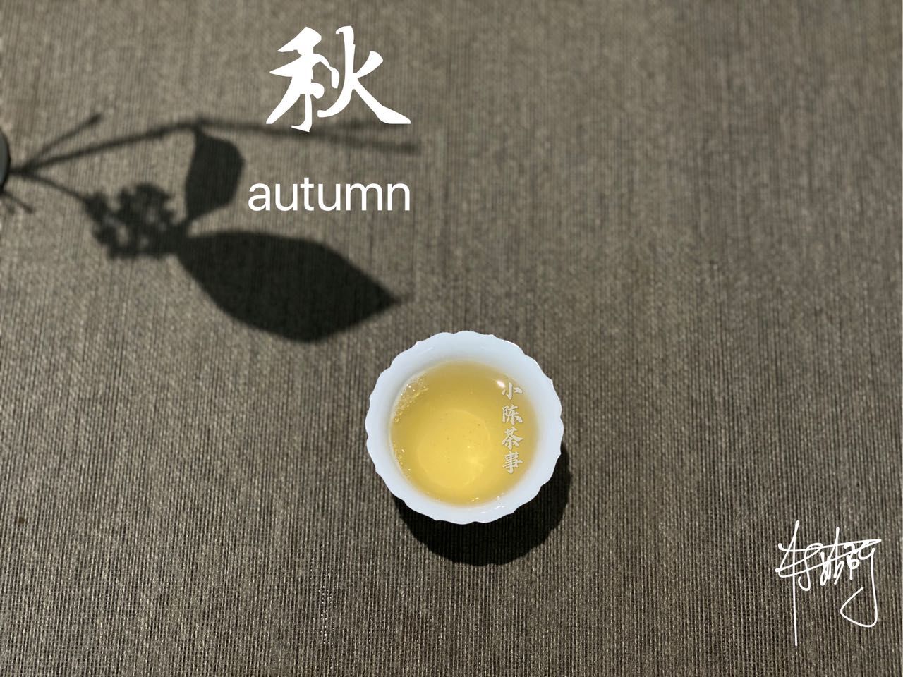 萝卜|陈皮白茶，荷叶白茶，菊花白茶，秋季喝茶润燥要不要加点“料”？