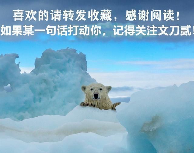  价值|2019年，刘嘉玲展出价值10亿皇冠后，才明白梁朝伟的心酸