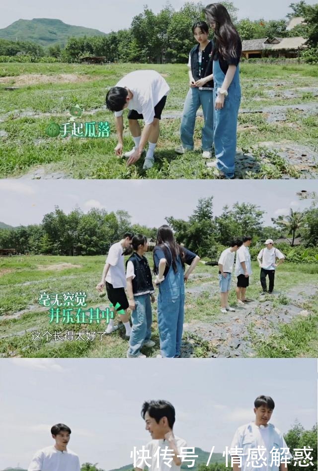 向往|《向往》里最尴尬的嘉宾全程沦为了背景板,在热闹人群中好孤独