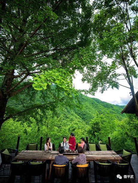  日子|将自己融于一朵花，花间伴山，把日子过成诗