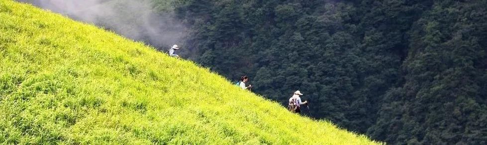  救援队|河南两驴友迷路4000米海拔的玉珠峰，被找到时已失温