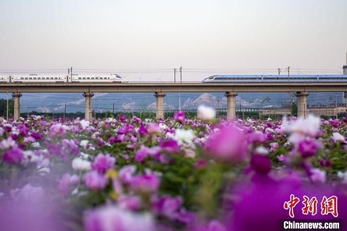 中秋、國慶黃金周太鐵旅客發送量激增 客流熱門方向京津滬穗