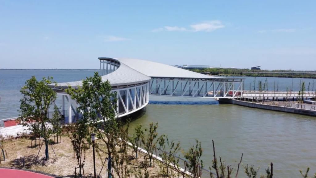 网红|【探索】滴水湖4座“网红”景观桥亮灯啦!快来先睹为快