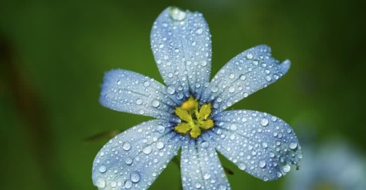  前程|8月开始事业前程光明，喜事一桩接一桩，终于苦到头的四大生肖