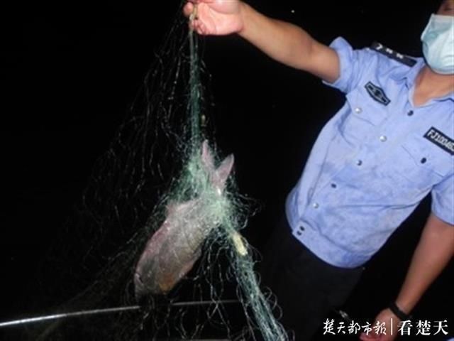  雨夜|3人雨夜汉江非法捕捞，民警将他们逮个正着