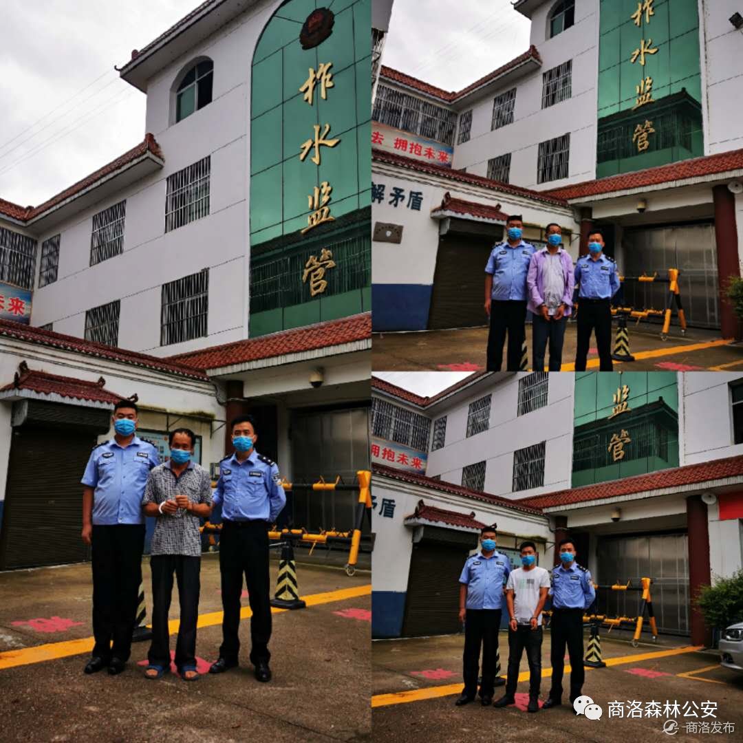 男子|柞水3男子邀约持枪打猎，射杀红腹锦鸡获刑