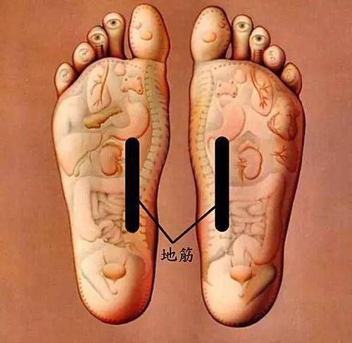  肝脾肾三|肝经锻炼七法，强肝护肝真“肝”净