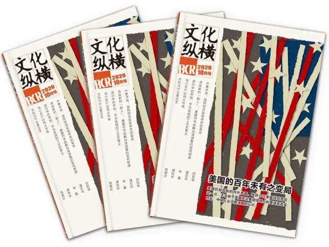 文化|大西洋月刊: 美国极可能现“双总统”, 因为一个重大漏洞 | 文化纵横