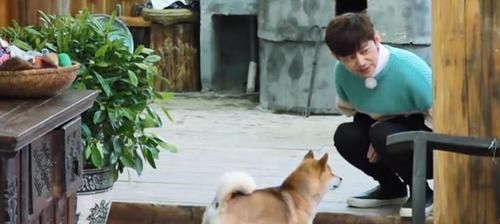  何老师|小O做坏事被黄磊吐槽，有谁注意何炅对小H说的话？堪称爱情宝典！