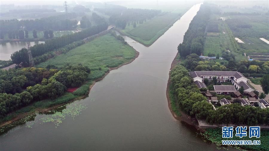  拍摄的天津|天津武清：湿地生态美