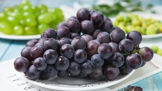  没吃到|狐狸没吃到的那颗葡萄，串起了几个世纪的夏天